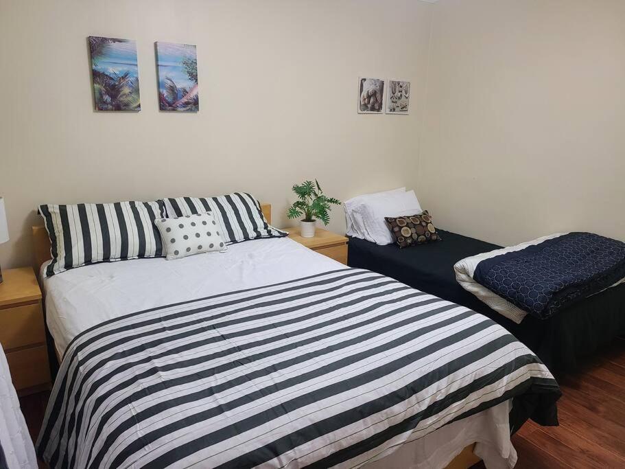 3 Bedroom House In Downtown Apartment *