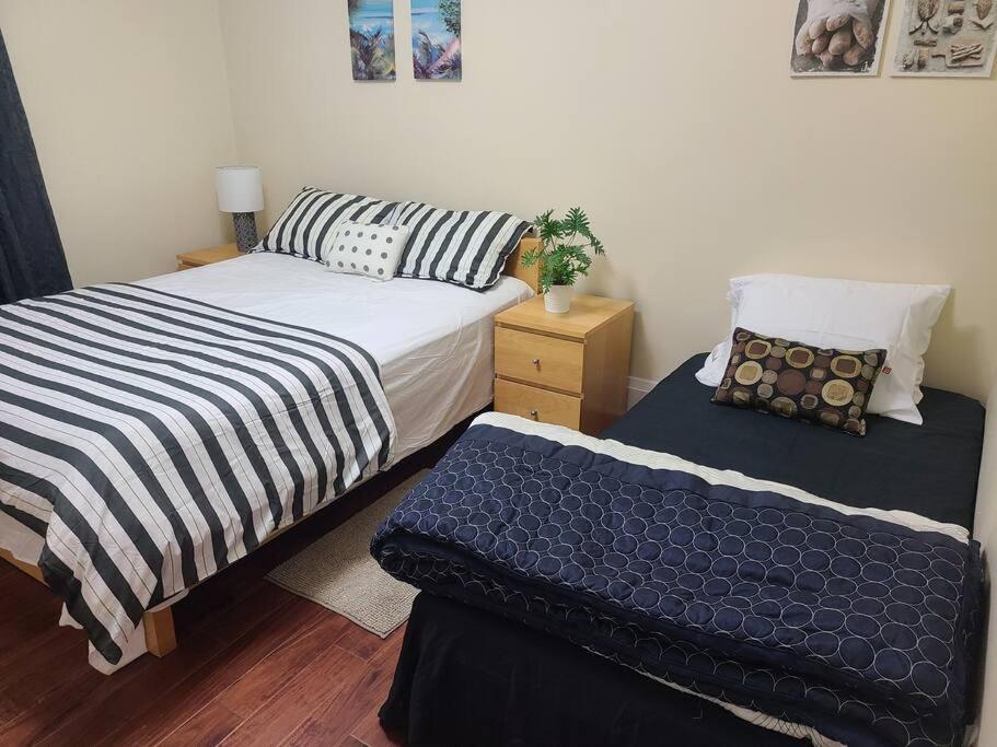 Apartment 3 Bedroom House In Downtown Toronto